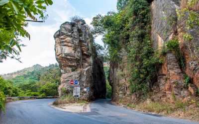 Suite des Debats de la Conference Call