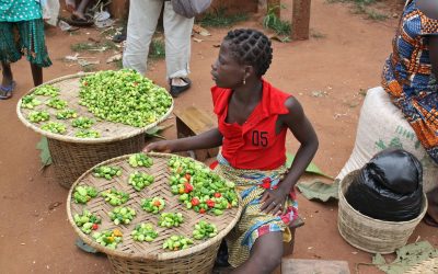 Les histoires de PIB nous endorment pendant que concrètement il n’existe aucun projet d’avenir pour notre pays