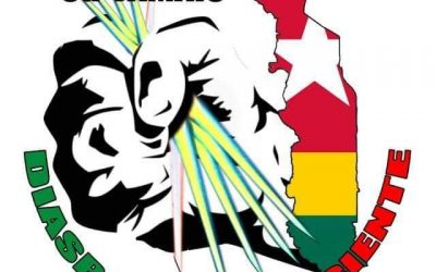 Déclaration de la Diaspora Consciente relative au Haut Conseil de la Diaspora de Robert Dussey et de Faure Gnassingbé.